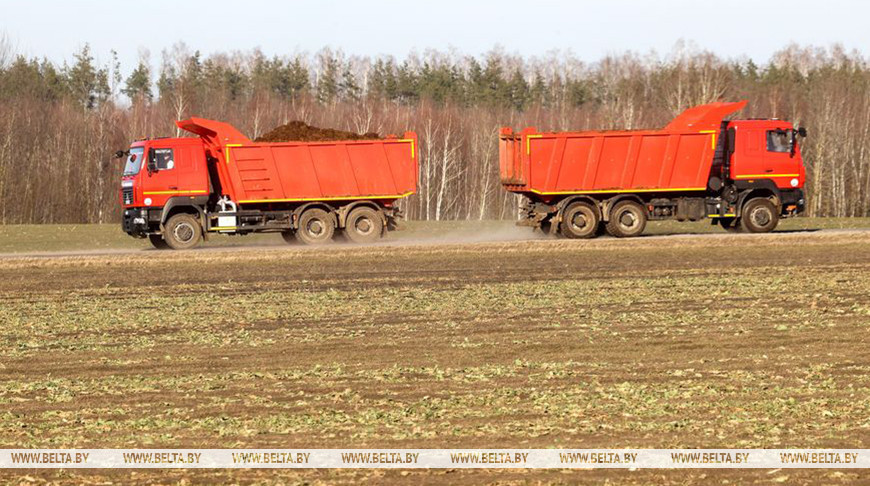 Хозяйства южных районов Брестской области приступили к полевым работам