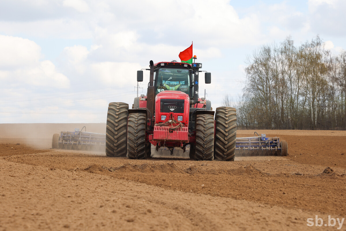 Все районы Брестской области приступили к севу кукурузы: в регионе планируют засеять более 250 тыс. га