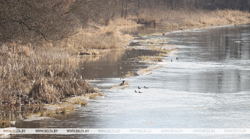 МЧС о паводковой ситуации в Брестской области: подтоплений от речных вод не зафиксировано