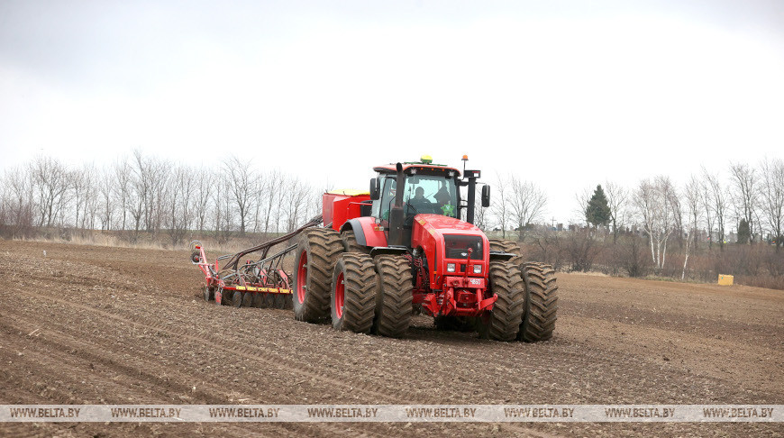 Сев льна начали в Брестской области 