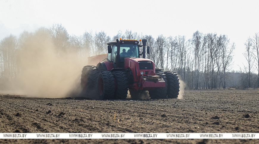Сигналом стали перелетные птицы. В Брестской области выборочно начали яровой сев