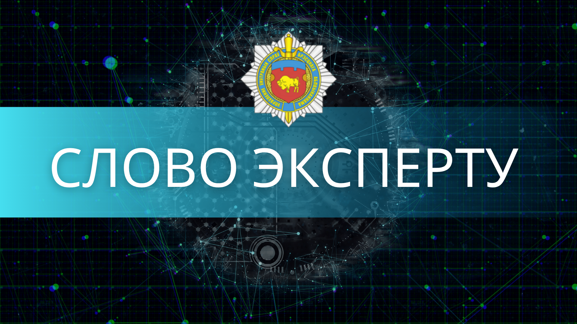 Слово эксперту